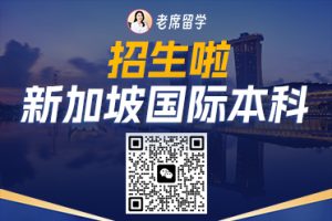 老席留学官网把我整不会了！新加坡名校offer砸脸时我在啃鸡爪…插图